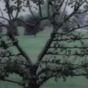 Meet your Posher, Esther